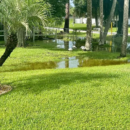 Sunny Oasis Getaway -Heated Pool-Mini Golf-Near Beach Nokomis Exterior photo