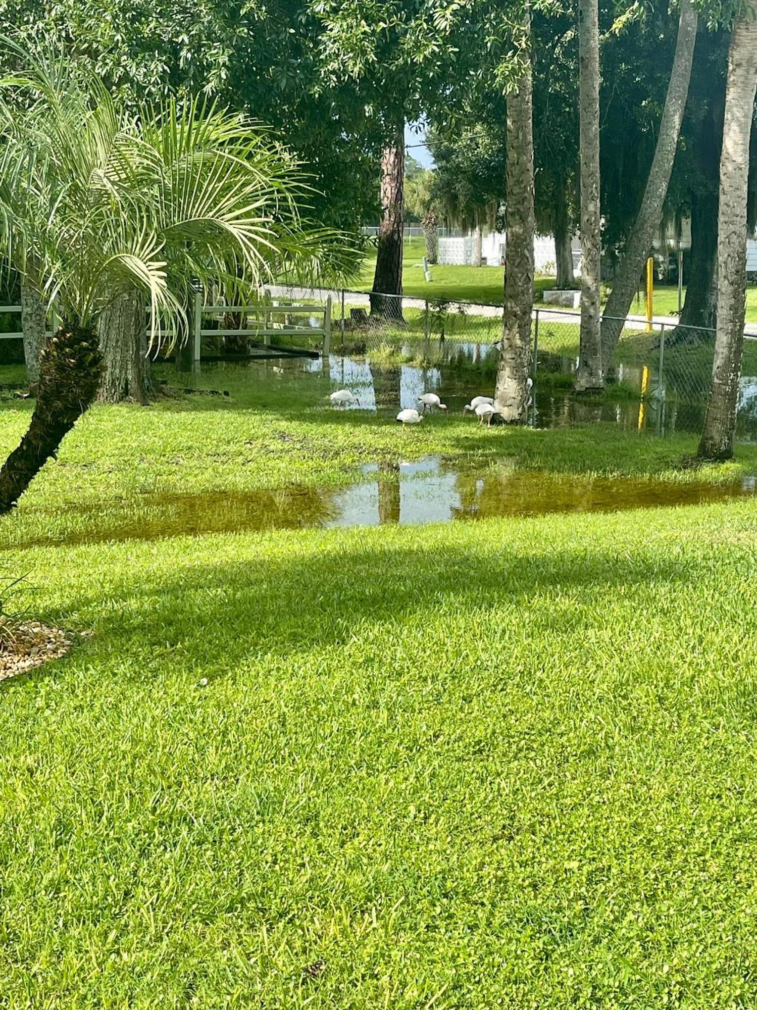 Holiday home Sunny Oasis Getaway -heated Pool-mini Golf-near Nokomis